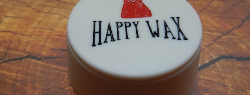 wax warmer liner – themeltdownblog